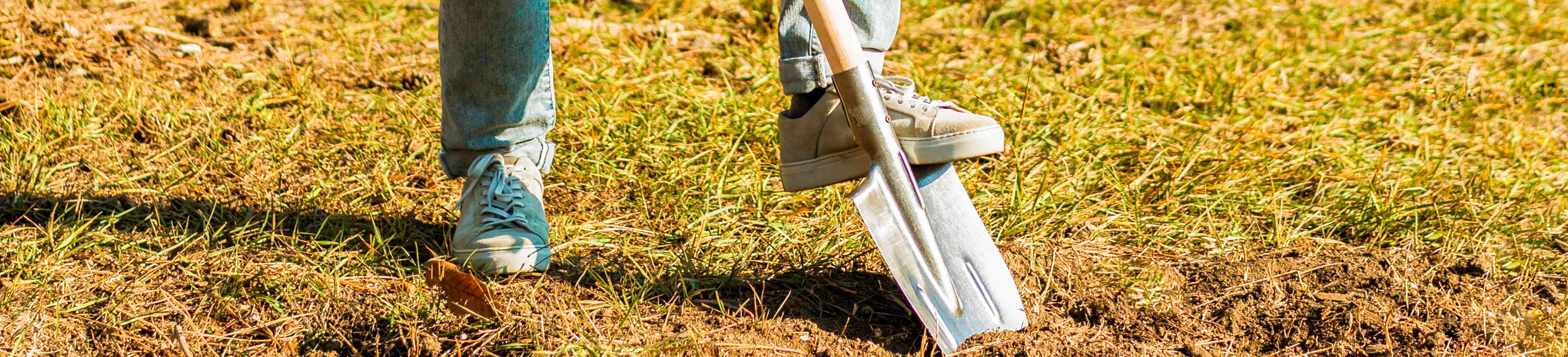 Call Before 811 You Dig & Think Before You Plant