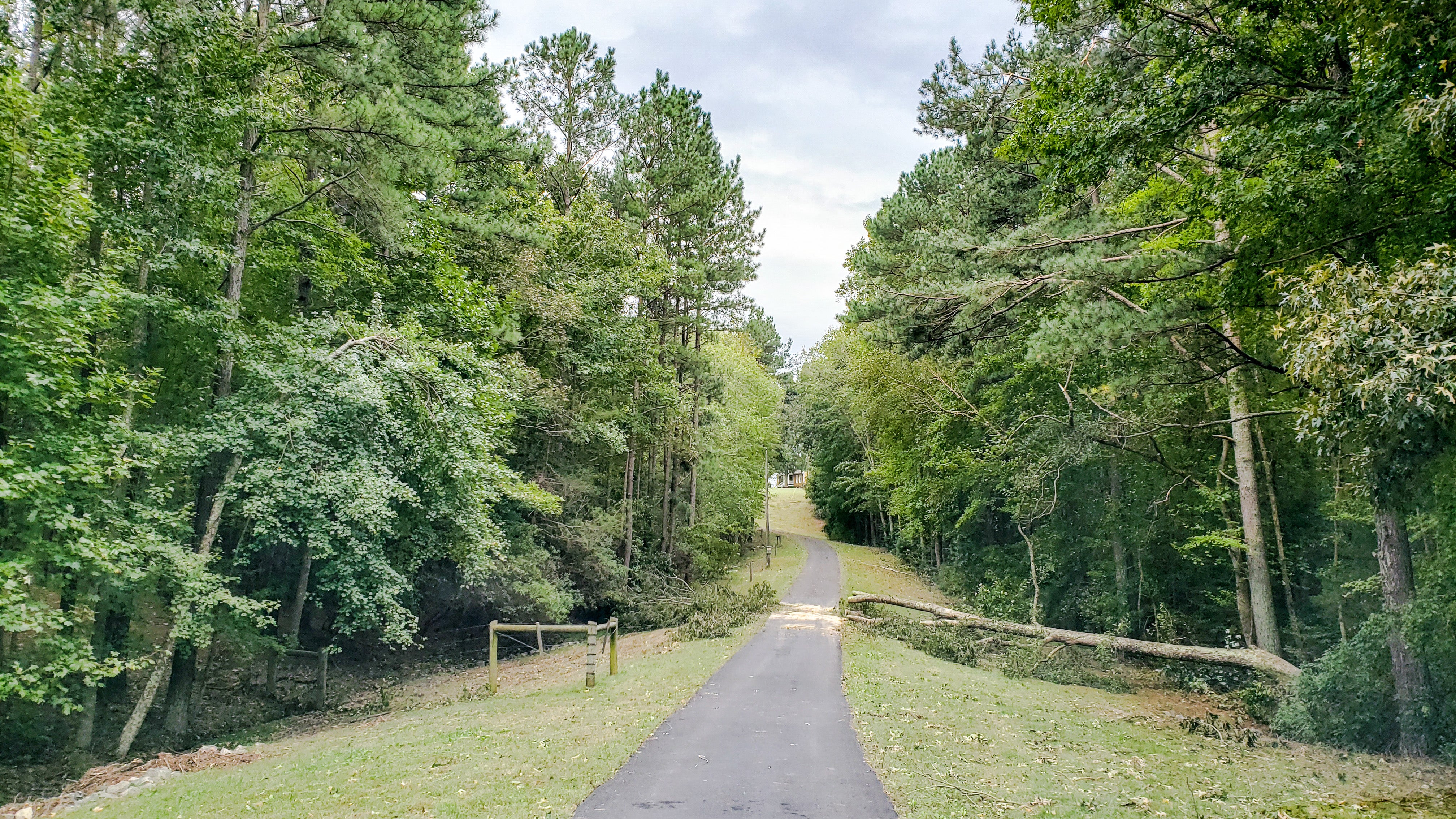 The road ahead