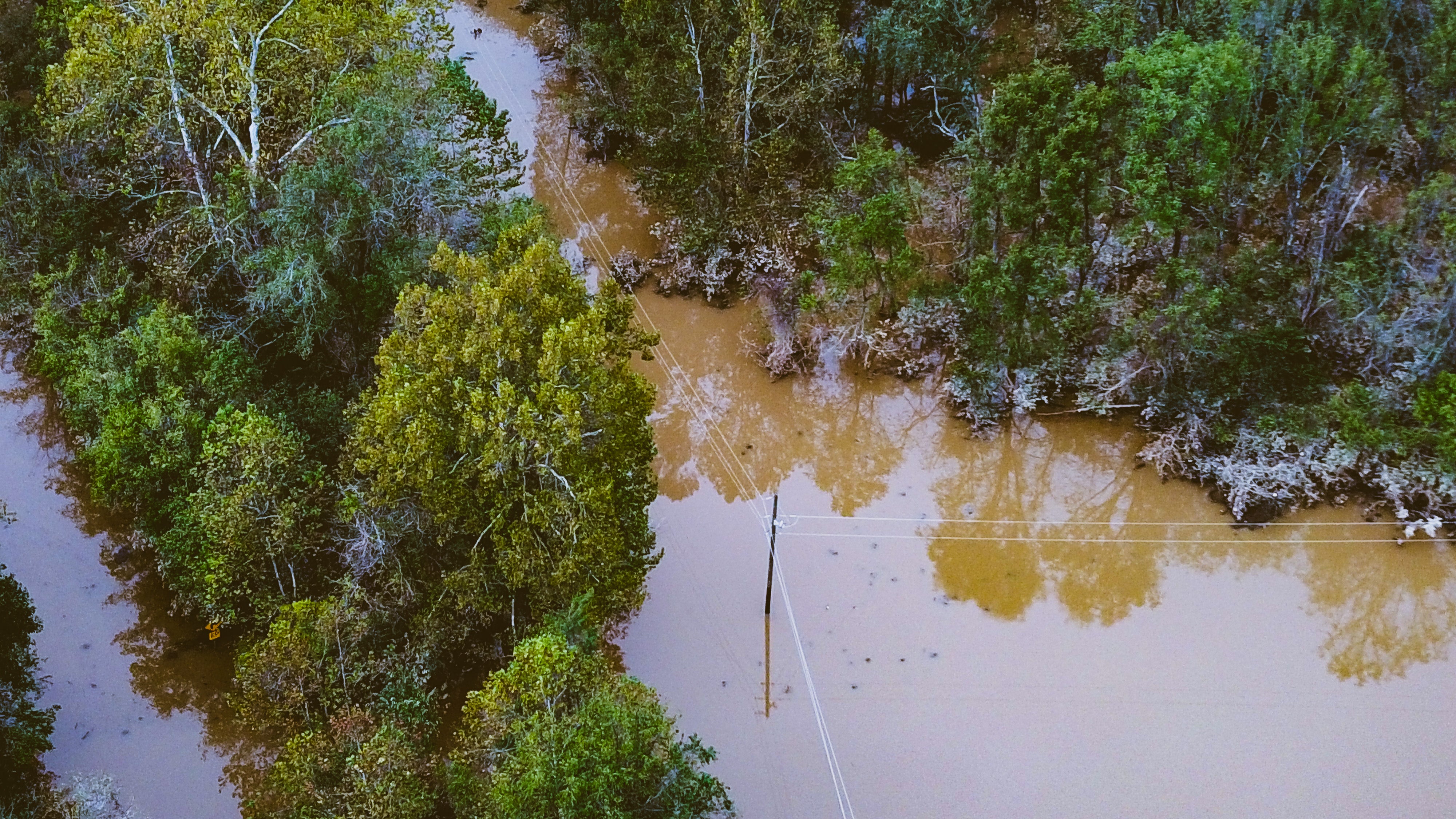 water damage - birds eye view