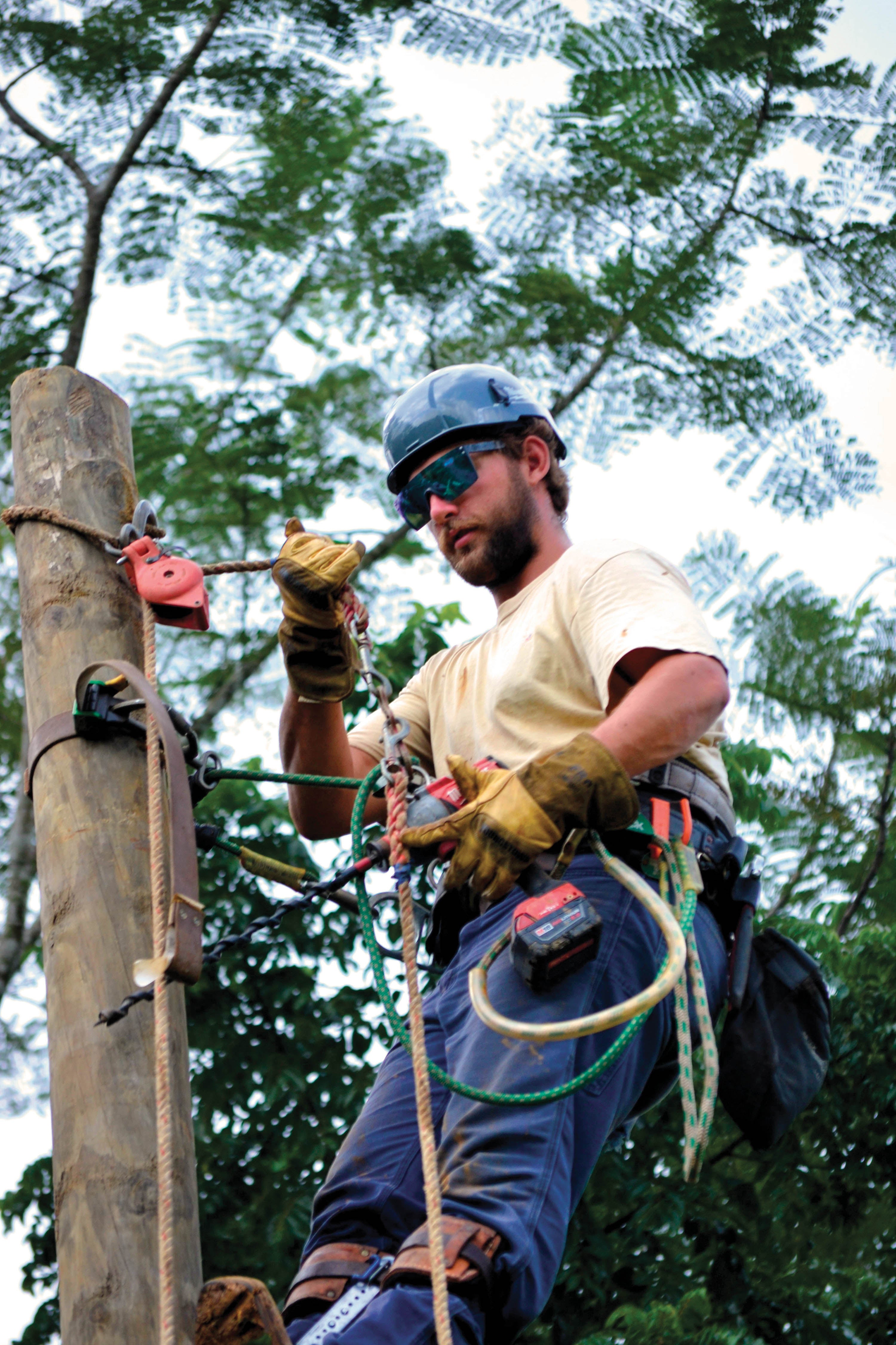 Brandon Thompson working on a pole