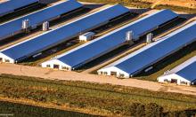 Agribusiness New Construction and Equipment Upgrades