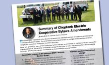 A graphic showing the Summary of Bylaws Article