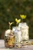 The funds will be returned to members as a credit directly on June's electric bills. 